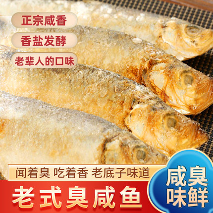 老式咸鱼正宗白鳞鱼 带籽梅香白鳞鱼臭香盐力鱼咸鳓鱼 三刨霉鳓鱼