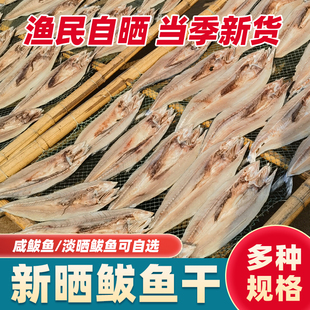 山东特产咸鲅鱼 渔民淡晒马鲛鱼干 风干鱼燕鲅鱼干海鲜咸鱼干干货
