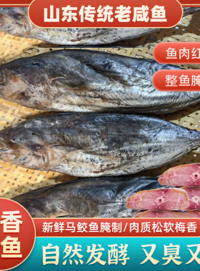 老式臭咸鱼 梅香花鲅鱼红肉霉香茄子煲汤腌老咸鱼霉马鲛鱼糟鱼2斤