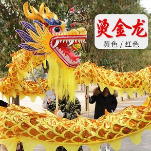 烫金龙龙灯龙狮舞龙表演服装冬天牛津布舞龙舞狮表演道具国标三号