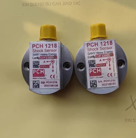 丹麦PCH振动传感器 PCH1218