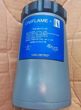 FORNEY美国福尼 40111-21 炉膛火焰检测器