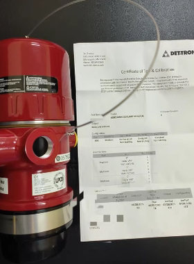 美国 DET-TRONICS 迪创 防爆火焰探测器 model x3301A