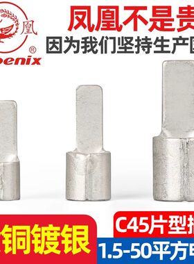 凤凰C45片型铜接线端子冷压端子断路器空开插片接头线耳国标紫铜