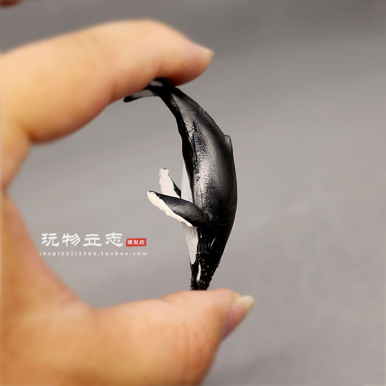 迷你海洋座头鲸小模型
