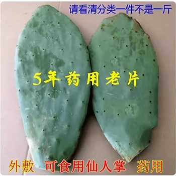 新鲜食用仙人掌米邦塔