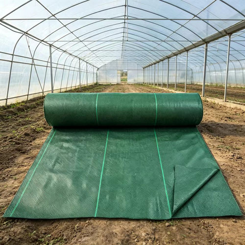 大棚农用防草地布园艺除草布绿色