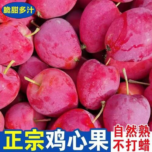 北方应季新鲜水果鸡心果