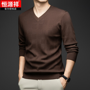 保暖休闲百搭精纺提花针织打底衫 恒源祥男士 厚款 秋冬季 V领羊毛衫