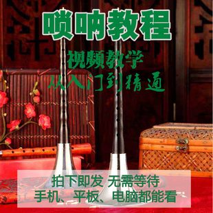 唢呐教学视频教程学唢呐视频教学全套新手零基础自学唢呐视频教程