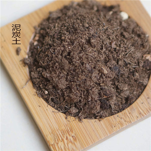 多肉植物火山石泥炭土