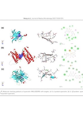 免疫检查点生信分析 PD-1 CTLA-4 联合阻断