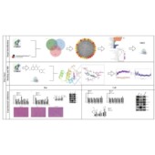机器学习 医学数据分析服务 临床预测模型 倾向性评分匹配PSM
