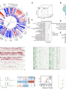 质谱数据分析 高分辨率数据分析 代谢组学 蛋白组学 LCMS GCMS