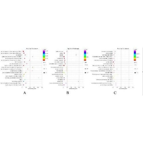 16s qiime2从原始序列开始（生成otu表、代表性序列和注释表）。