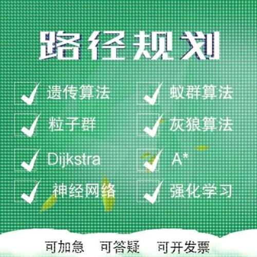 matlab代遗传算法路径规划Python粒子群蚁群算法代做选址路径优化