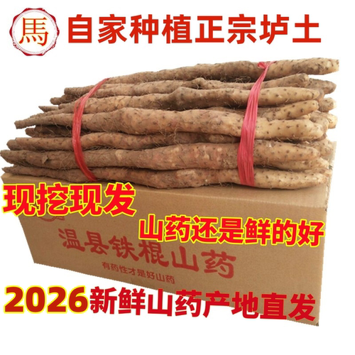 新鲜正宗温县垆土铁棍山药怀山药