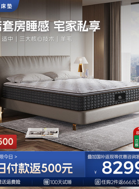 【政府补贴】Serta/舒达 普林斯顿Ⅱ 弹簧乳胶床垫家用适中席梦思