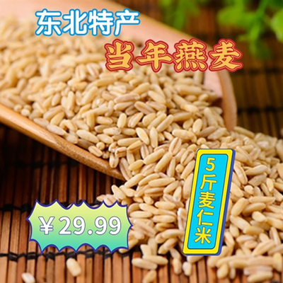 白城特产东北燕麦5斤包邮当年新米五谷杂粮农家自产