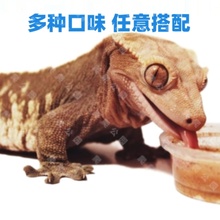 PANGEA睫角守宫饲料盘古果泥分装水果盖勾亚爬宠爬虫巨人R属LL