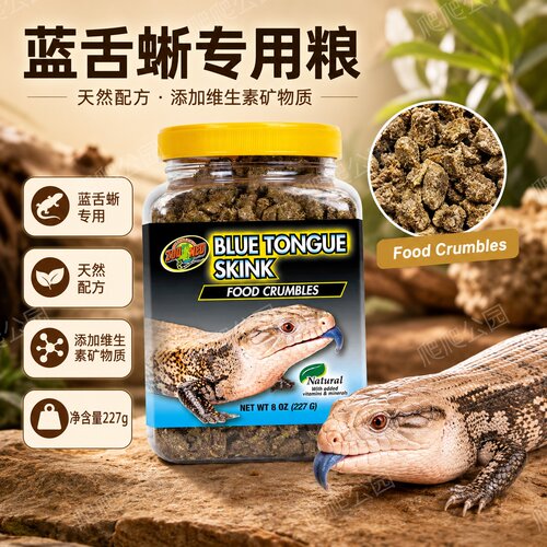 蓝舌蜥蜴zoomed美国爬宠爬虫