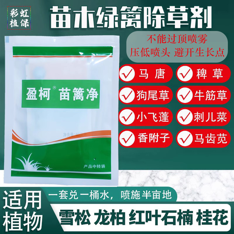 绿篱苗木灌木除阔叶尖叶草加封闭