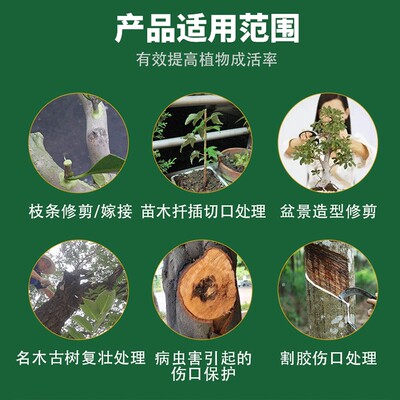 大树愈伤涂膜剂植伤NRG口涂抹剂伤口剂盆景合果愈树苗木物伤愈膏