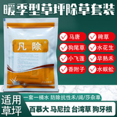 盈柯凡除百慕大马尼拉草坪专用除杂草剂除水花生马唐牛筋草香附子