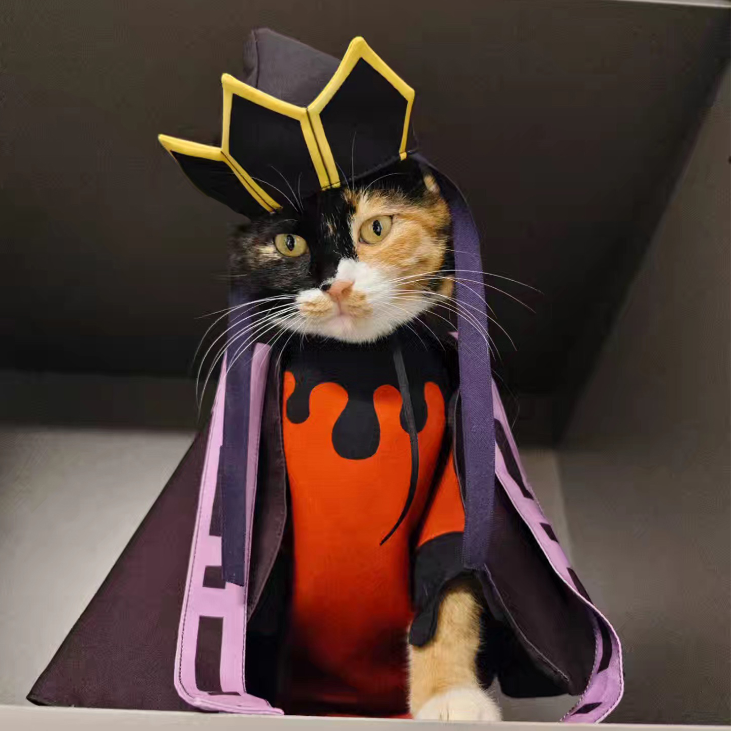 鬼灭之刃童磨宠物同人服饰