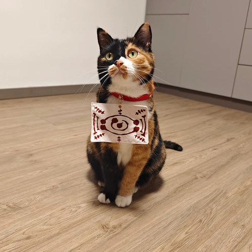 鬼灭茶茶丸同人项圈拍照可爱