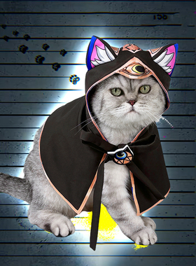 赛飞儿猫咪兜帽宠物Cipher斗篷小狗衣服cos崩铁赛法利娅同人服饰