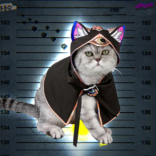 赛飞儿猫咪兜帽宠物Cipher斗篷小狗衣服cos崩铁赛法利娅同人服饰