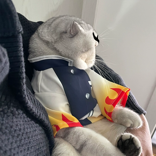 Ghost Destroyer Pet Petting Products Big Brother Purgicaly Purgical Apricot Shoulang Cat Clothing Dog Boed Boed Ghost Kill Team T -Fish Clothing