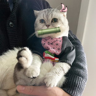 鬼灭之刃宠物衣服拍照道具猫咪防掉毛用品祢豆子T恤狗狗春夏服饰
