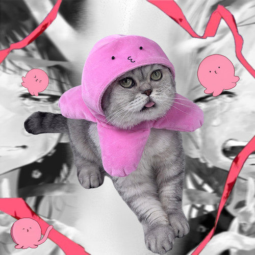 章鱼噼宠物拍照服饰，可可爱爱