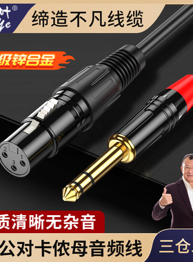 蓝叶 卡农转6.5话筒线麦克风连接音响箱音频线6.35卡侬公母头专用