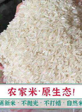 农家米乡下大米自种口粮老品种高山农家新米不打蜡自留稻中稻米