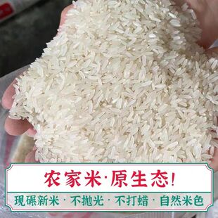 农家米乡下大米自种口粮老品种高山农家新米不打蜡自留稻中稻米