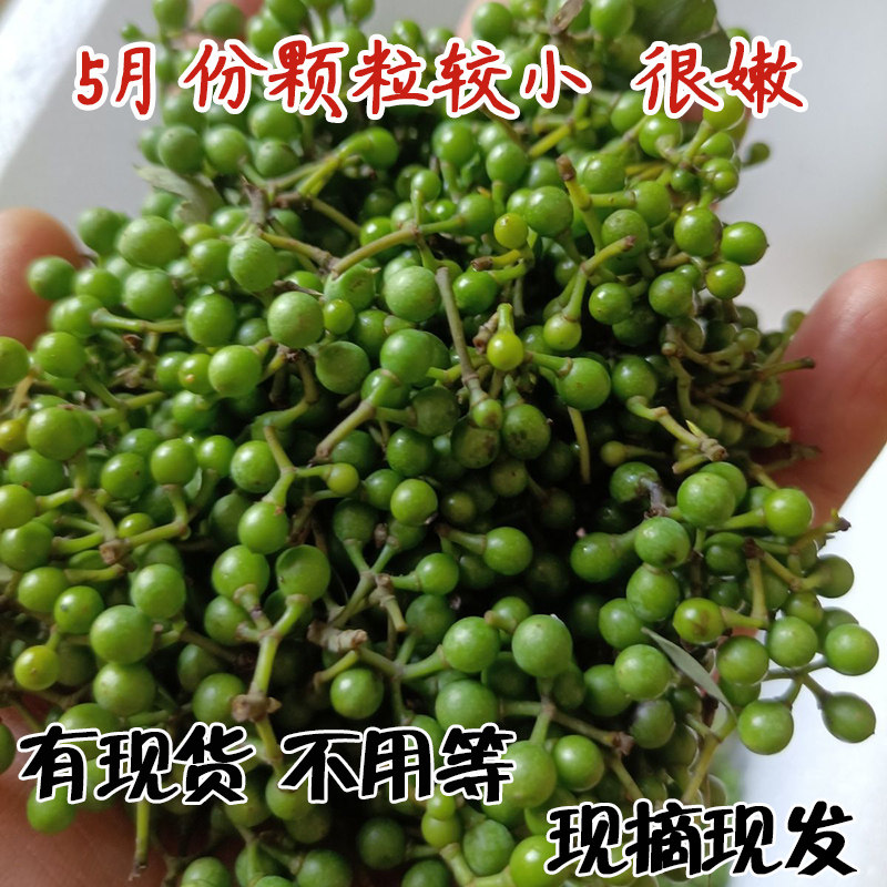 现摘新鲜木姜子湖南特产野生山胡椒木姜子山苍子山姜子野生木姜子