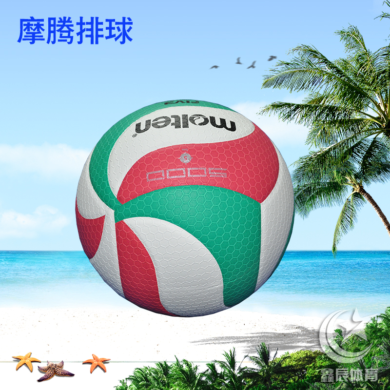 Ballon de volley-ball - Ref 2010984 Image 4
