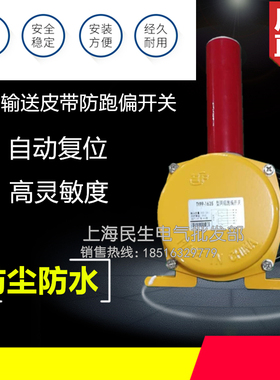 原装正宗2极输送皮带防跑偏开关 TYPP-1635型 急停保护主令控制器