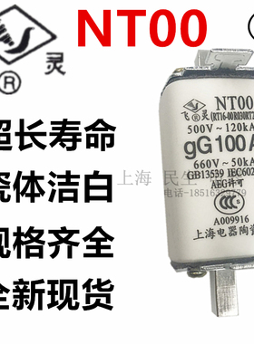 方管刀型陶瓷熔断体 飞灵NT00 RT16-00 R031 25 32 63 80100A125A