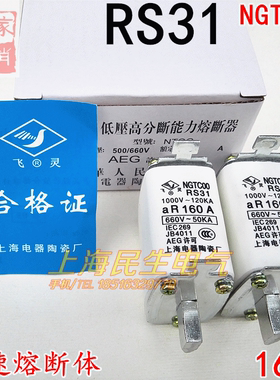 RS31 NGTC00快速熔断体熔断器短路保护陶瓷保险丝熔芯160A 1000V