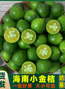 海南小金桔5斤新鲜精选一级水果酸小青桔柠檬应季奶茶榨汁薄皮橘
