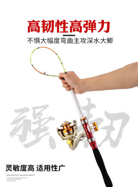 超轻全套岸抛阀杆小矶竿