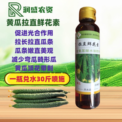 黄瓜拉直鲜花王 拉直灵拉长素鲜花素减少畸形瓜瓜条直顶花带刺