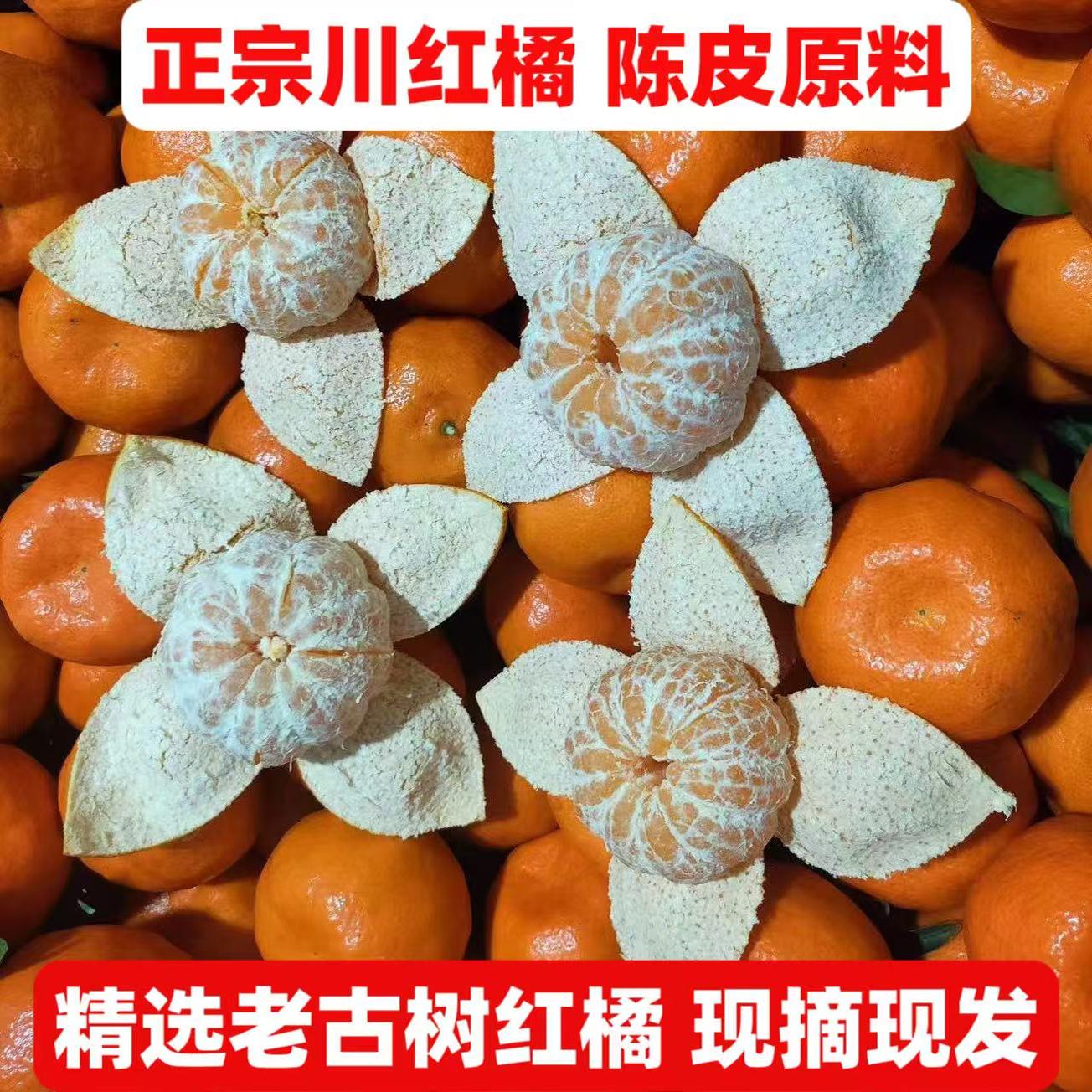 陈皮原料川红橘四川大红袍柑橘