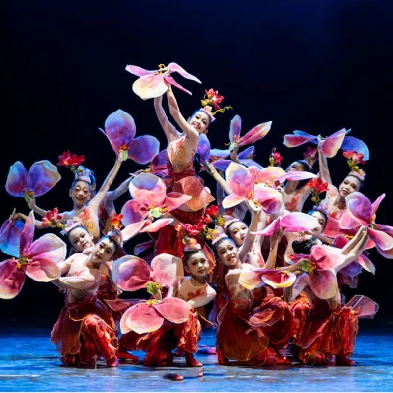 六一新款木棉花开舞蹈服装红色畅想舞蹈红色主题演出服红色爱国服