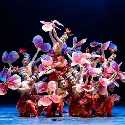 六一新款木棉花开舞蹈服装红色畅想舞蹈红色主题演出服红色爱国服