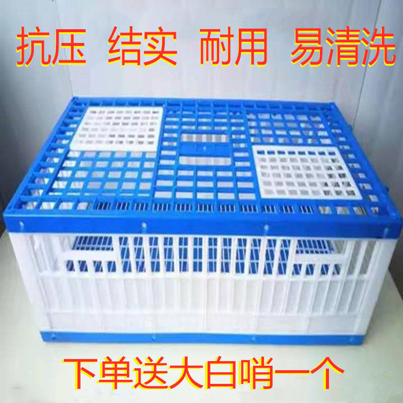 鸽具/信鸽用品用具/放飞笼/训放笼/塑料放飞笼/报道笼/鸽子笼包邮